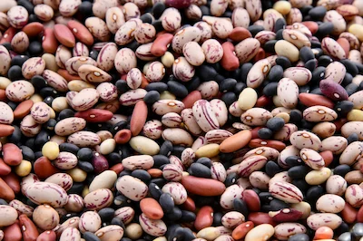 Beans are a rich source of iron, making them an excellent choice for pregnancy
                nutrition.